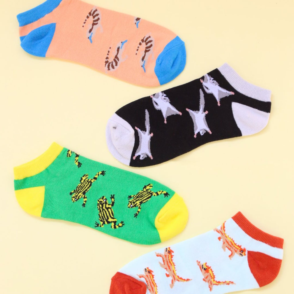 Sydney Sock Project - Socks That Give Back