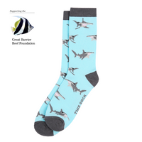 Hammerhead Shark Sock