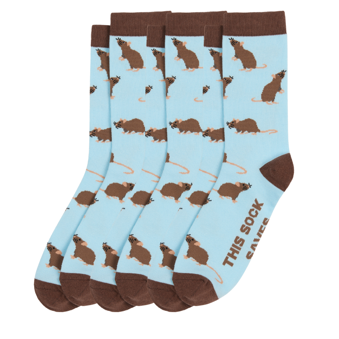 Rat Sock Bundle (3 x Pairs) – Sydney Sock Project