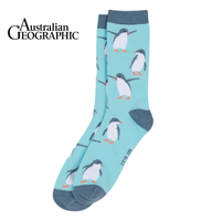 Fairy Penguin Sock