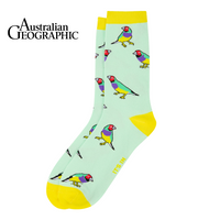 Gouldian Finch Sock