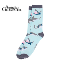 Great White Shark Sock