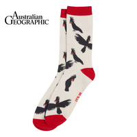 Palm Cockatoo Sock