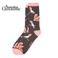 Pink Cockatoo Sock