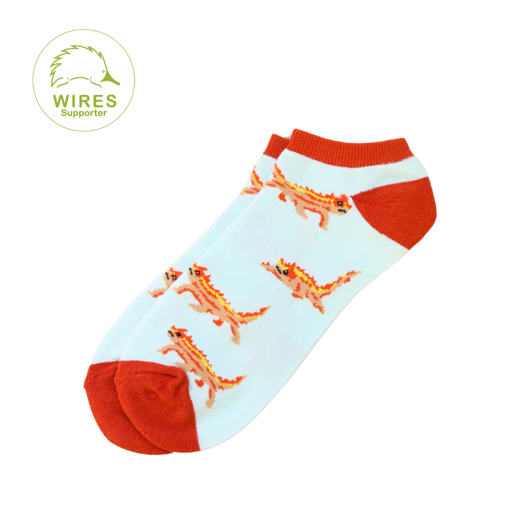 Thorny Devil Lizard Ankle Sock | Supporting WIRES – Sydney Sock Project