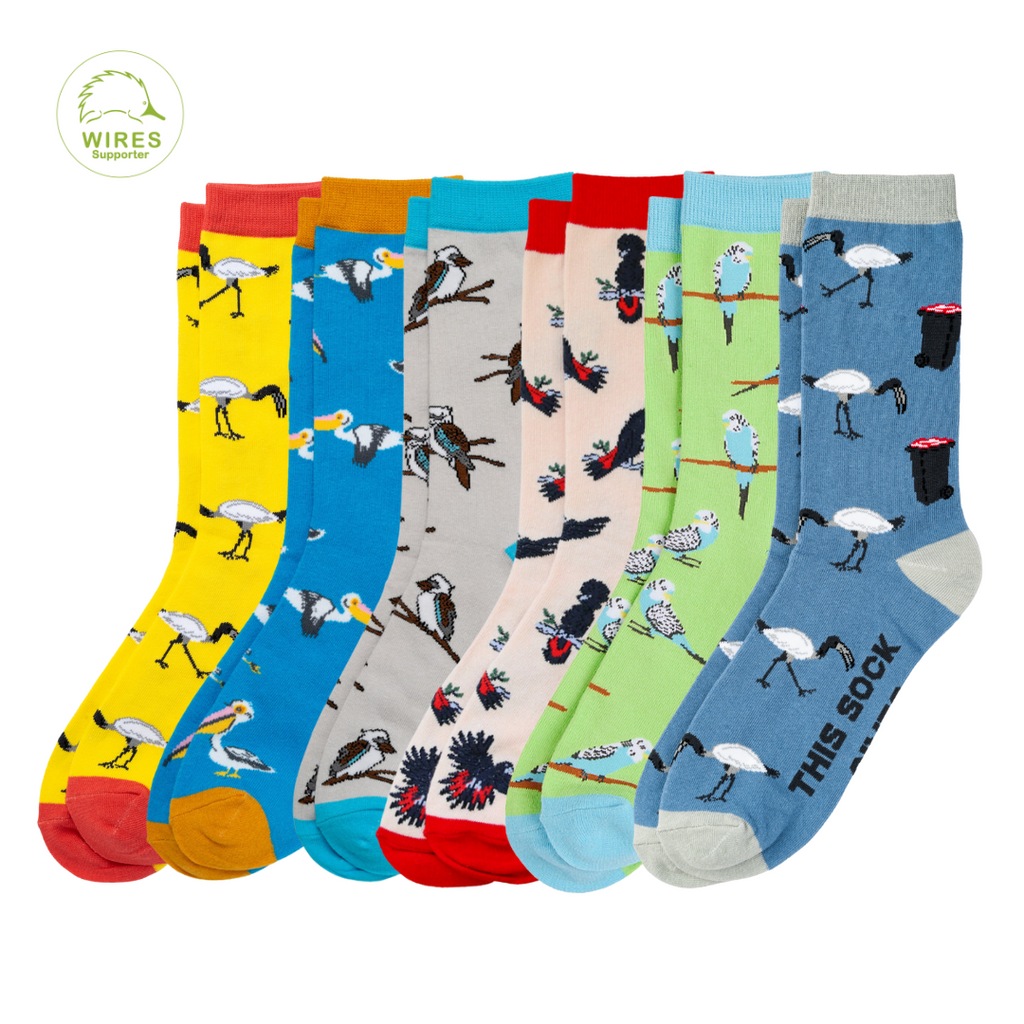 Sydney Sock Project - Socks That Give Back