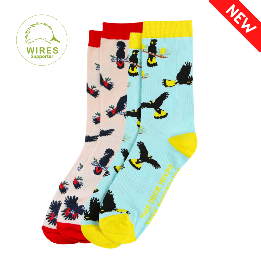 Sydney Sock Project - Socks That Give Back