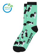 Border Collie Sock