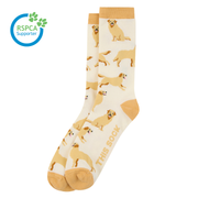 Golden Retriever Sock