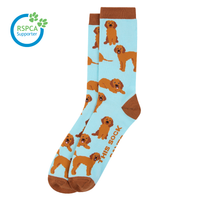 Cavoodle Sock
