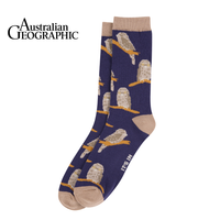 Tawny Frogmouth Sock