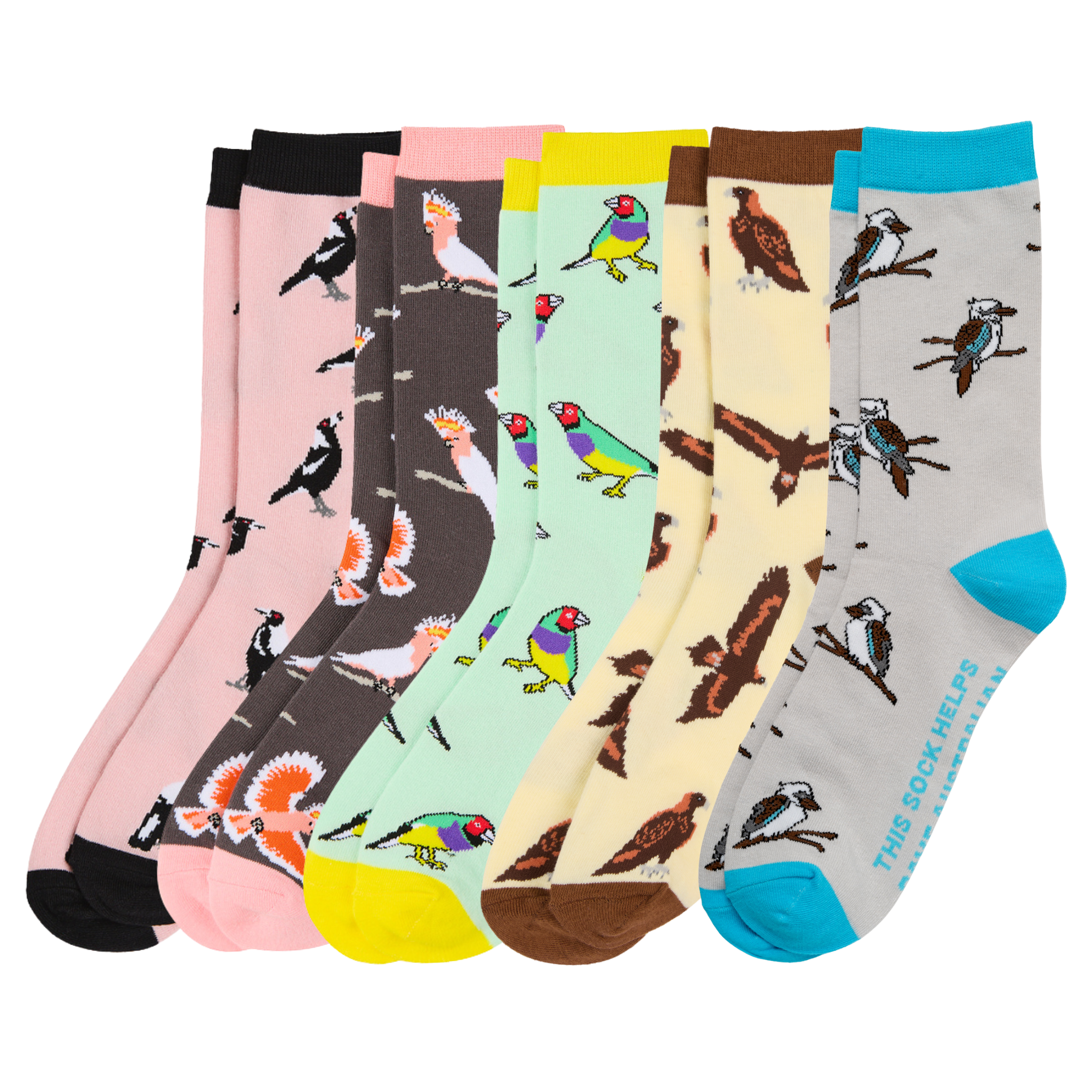 Aussie Birdwatcher Pack 5-Pack – Sydney Sock Project