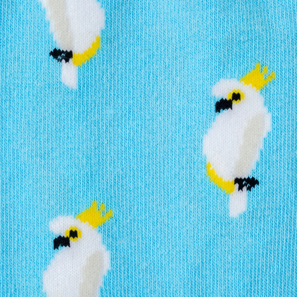 Books in Homes Australia | Sydney Sock Project – Page 3