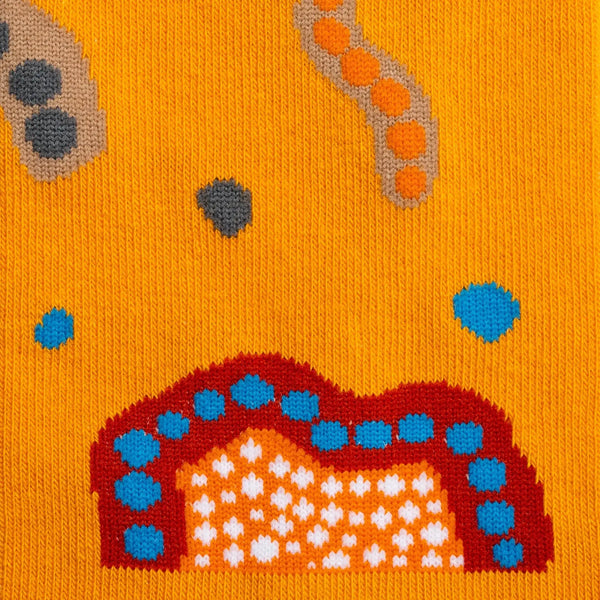 Care For Our Country Ankle Sock Sydney Sock Project