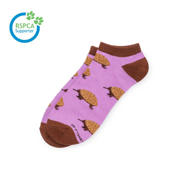 Echidna Ankle Sock Sydney Sock Project