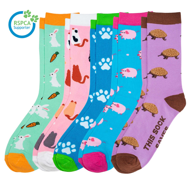 Ultimate RSPCA NSW Sock 5-Pack Sydney Sock Project